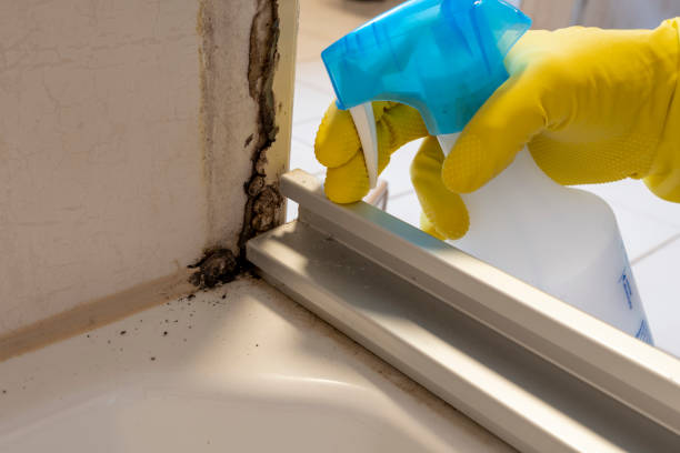 Best Mold Testing  in Chattanoo Valley, GA