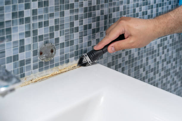 Best Mold Damage Repair  in Chattanoo Valley, GA