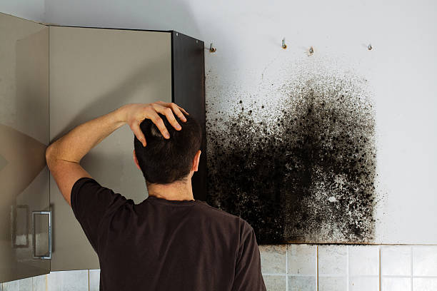 Best Office Mold Removal Services  in Chattanoo Valley, GA